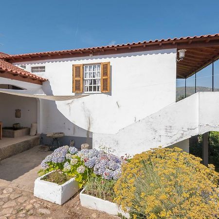 Quinta Do Acipreste Lamego Kültér fotó