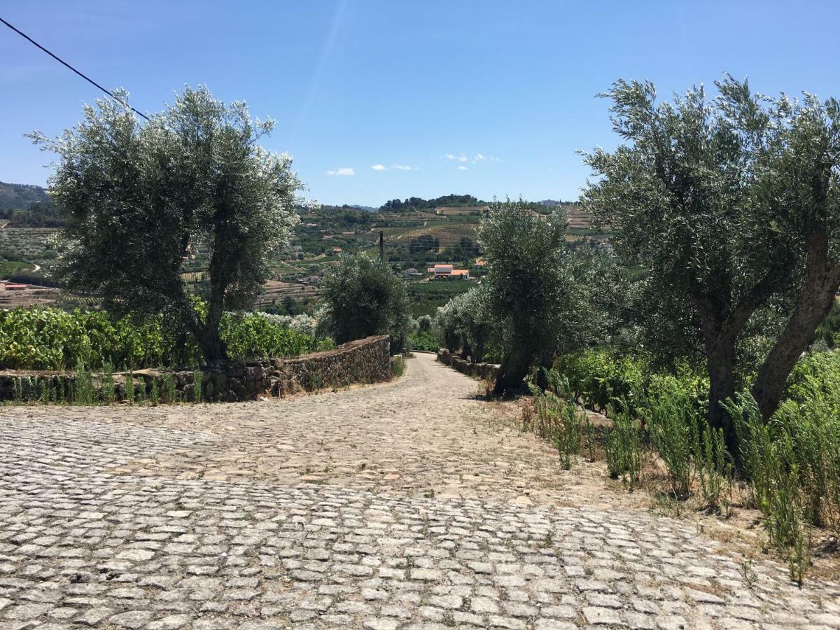 Quinta Do Acipreste Lamego Kültér fotó