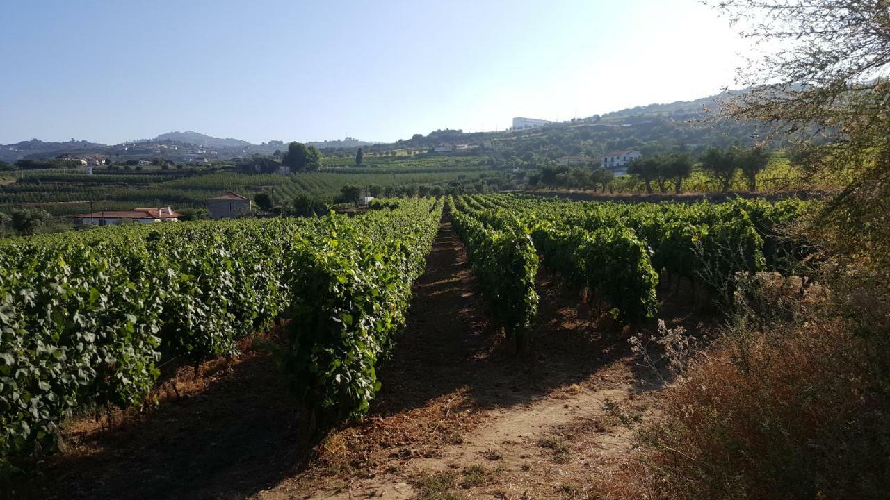 Quinta Do Acipreste Lamego Kültér fotó