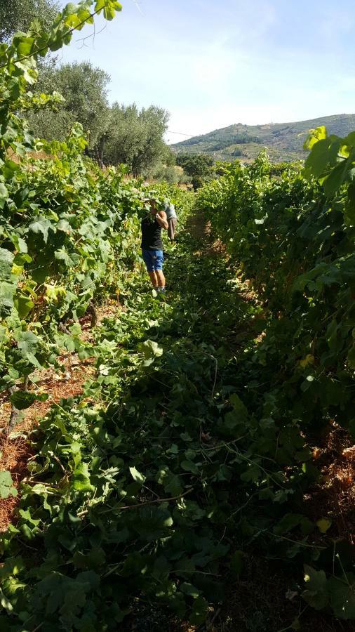 Quinta Do Acipreste Lamego Kültér fotó