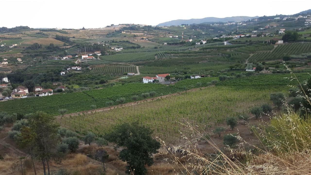 Quinta Do Acipreste Lamego Kültér fotó